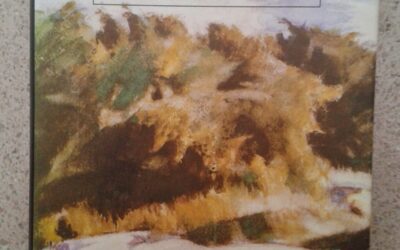 Contes inacabats de Númenor i la Terra Mitjana (EDHASA)