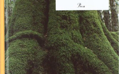 Contes inacabats de Númenor i la Terra Mitjana (Proa, 2003)